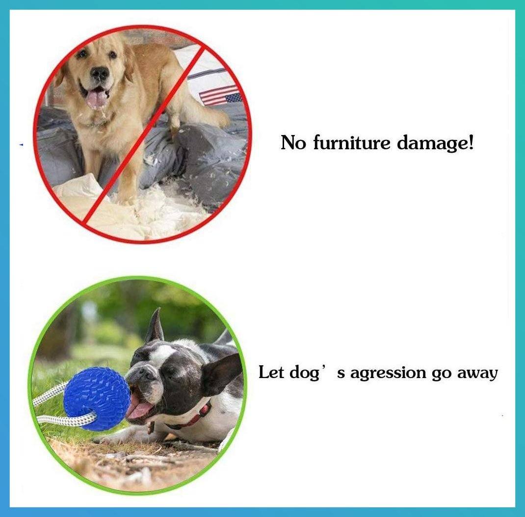 Tug-O-War Pet Chew Toy