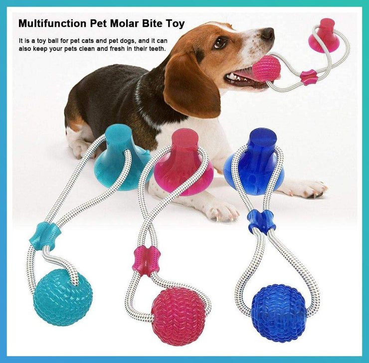 Tug-O-War Pet Chew Toy