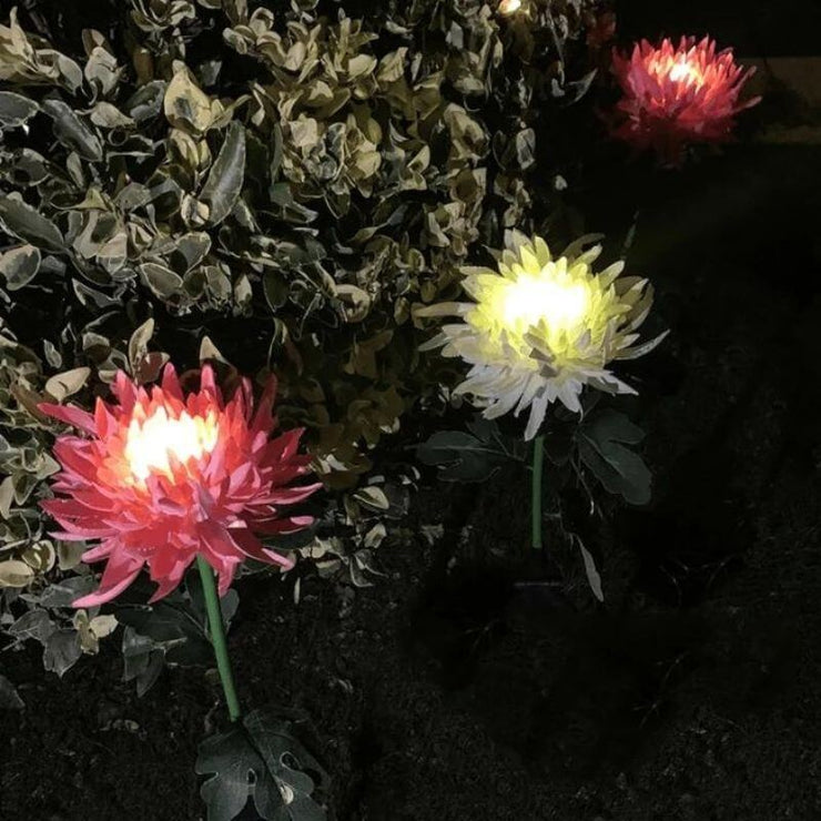 30" Chrysanthemum Solar Garden Stake LED