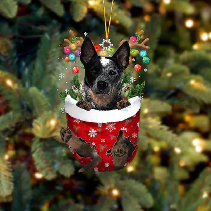 Blue Heeler In Snow Pocket Christmas Ornament SP065