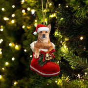 Carolina Dog In Santa Boot Christmas Hanging Ornament SB059