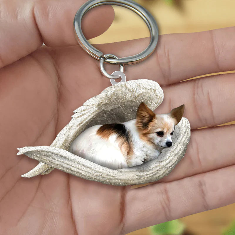 Sleeping Angel Acrylic Keychain Papillon02