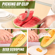 Stainless Steel Melon Slicer