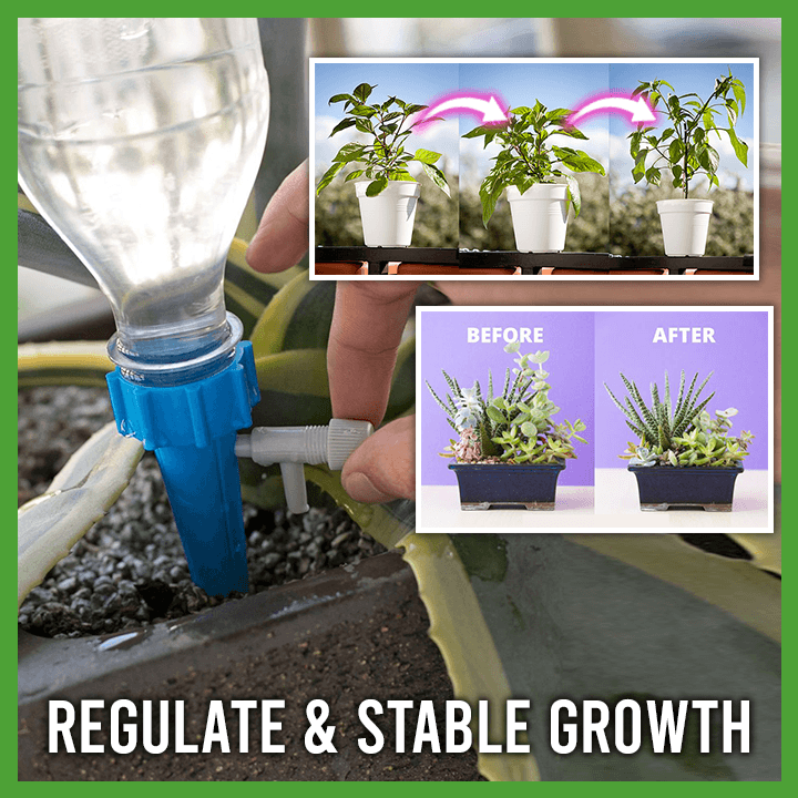 Plant Watering Funnel (4pcs)