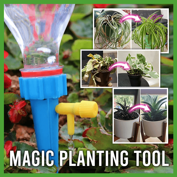 Plant Watering Funnel (4pcs)